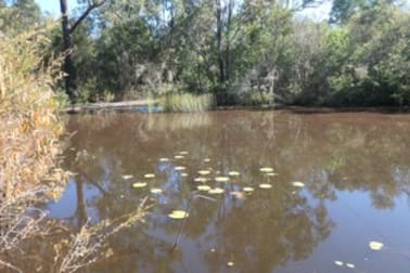 Lot 212 Clearfield Road Rappville NSW 2469 - Image 1
