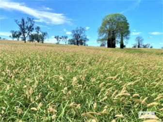 28987 Carnarvon Highway Roma QLD 4455 - Image 1