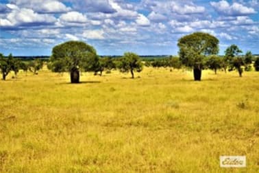 28987 Carnarvon Highway Roma QLD 4455 - Image 2