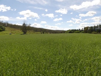 195 Lowanna Way Cooma NSW 2630 - Image 2