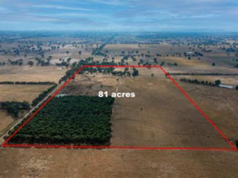 328 Dundas Lane Greta VIC 3675 - Image 2