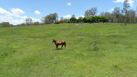 19 Claytons Road Lowmead QLD 4676 - Image 2