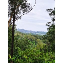 Lot 1304 Upper Main Arm Road Mullumbimby NSW 2482 - Image 2