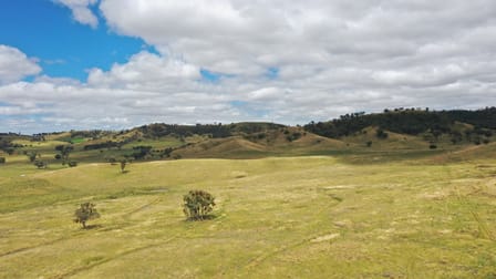 'Craigburn' Wisemans Arm Road Tamworth NSW 2340 - Image 1