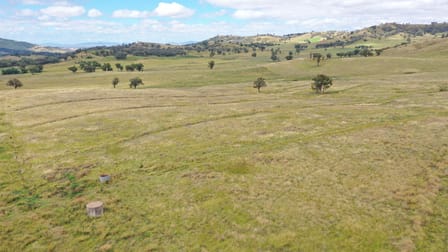 'Craigburn' Wisemans Arm Road Tamworth NSW 2340 - Image 2