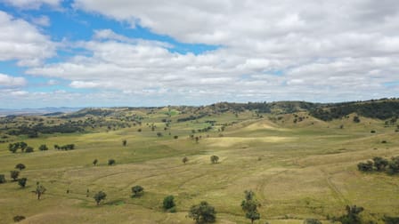 'Craigburn' Wisemans Arm Road Tamworth NSW 2340 - Image 3