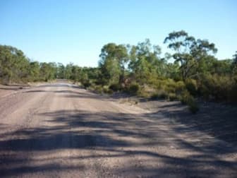 Lot 104 Lewington Road Tara QLD 4421 - Image 3