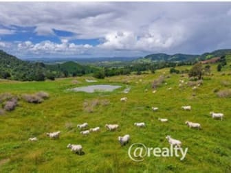 540 Calico Creek Road Calico Creek QLD 4570 - Image 1