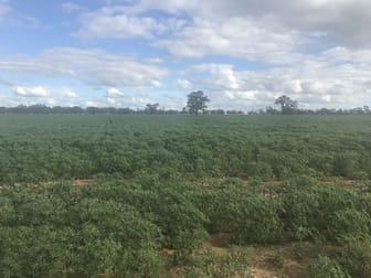 1036 Emby Rd Coonamble NSW 2829 - Image 2
