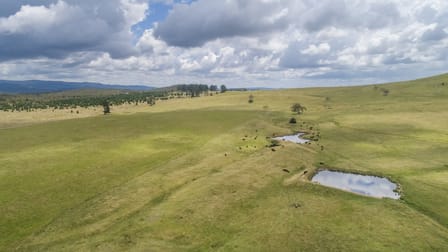 Braidwood NSW 2622 - Image 2