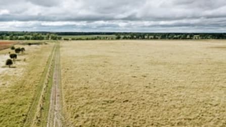 Dalby QLD 4405 - Image 2