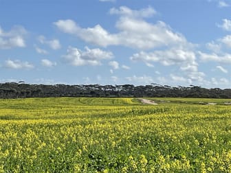 726 Lake Bryde Road Pingrup WA 6343 - Image 1
