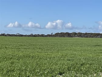 726 Lake Bryde Road Pingrup WA 6343 - Image 3