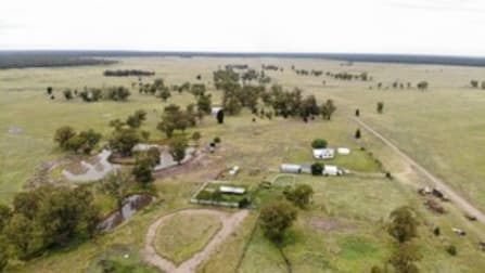. CATTLE GRAZING PROPERTY . Moonie QLD 4406 - Image 2