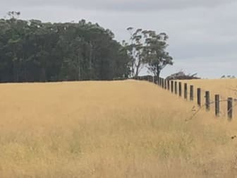 - Sam Pearsons Road Laang VIC 3265 - Image 3