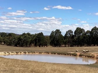 Lot 13H Jones Road Waterloo VIC 3373 - Image 3