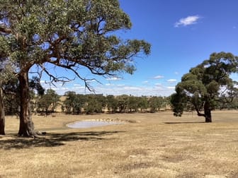 Lot 13H Jones Road Waterloo VIC 3373 - Image 1