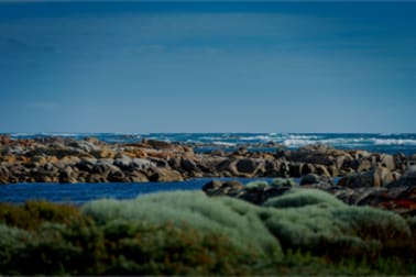 Click to view all images 253 Buttons Road Bungaree TAS 7256 - Image 1