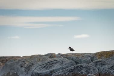 Click to view all images 253 Buttons Road Bungaree TAS 7256 - Image 3