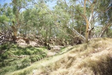 1277 Mingenew Mullewa Road Mingenew WA 6522 - Image 1
