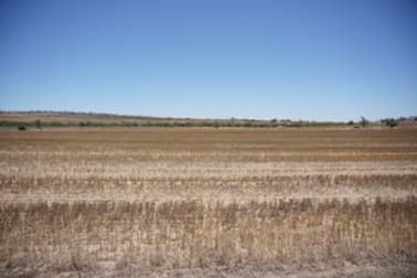 1277 Mingenew Mullewa Road Mingenew WA 6522 - Image 3