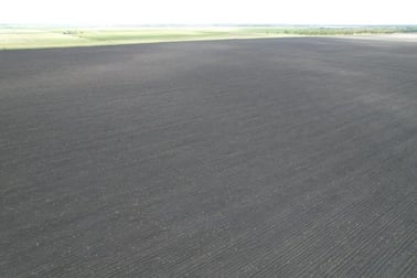 Click to view all images 478 ACRES GRAIN FARM Jandowae QLD 4410 - Image 1