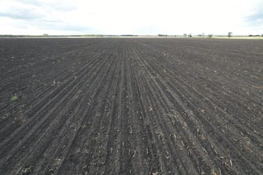 Click to view all images 478 ACRES GRAIN FARM Jandowae QLD 4410 - Image 2