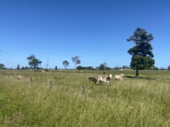 996 Lower Coldstream Road Coldstream NSW 2462 - Image 3