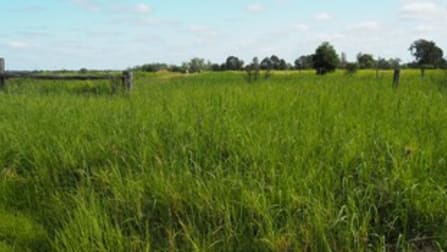 1828 BANANA MUNGI ROAD Moura QLD 4718 - Image 3