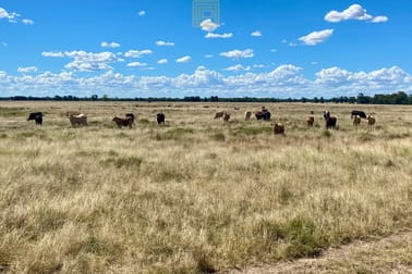 Click to view all images 265 Hulls Road Wee Waa NSW 2388 - Image 1