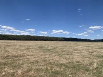 Timboon Colac Road Jancourt East VIC 3266 - Image 3