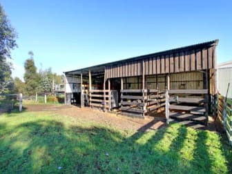 238 Willung Road Rosedale VIC 3847 - Image 3