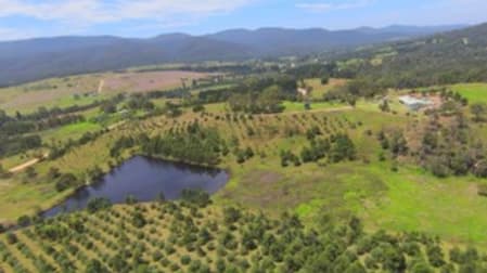 201 & 224 Pericoe Rd Towamba NSW 2550 - Image 1