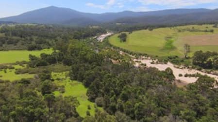 201 & 224 Pericoe Rd Towamba NSW 2550 - Image 3