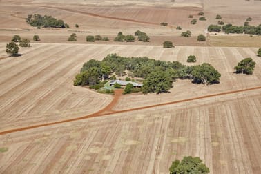 4258 Dandaragan Road Dandaragan WA 6507 - Image 3