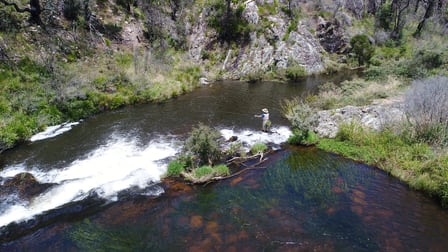 194 Point Lookout Road Ebor Dorrigo NSW 2453 - Image 1