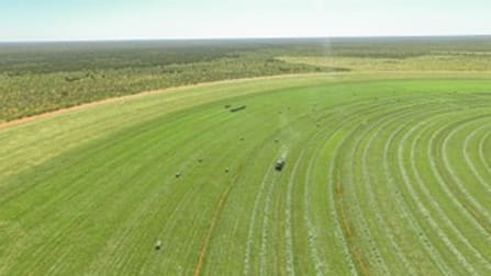 21985 Stuart Hwy Davenport NT 0872 - Image 2