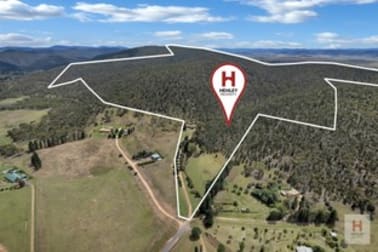 81 Bulong Road Cooma NSW 2630 - Image 2