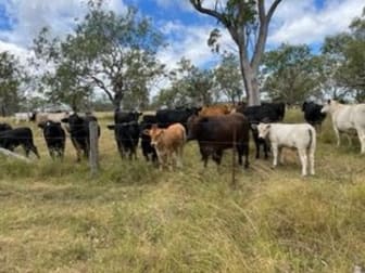 Lot 4 958 Lack Road Back Plains QLD 4361 - Image 1