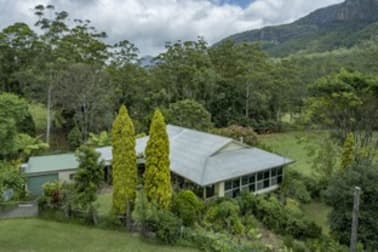 2705 Nerang Murwillumbah Road Nerang QLD 4211 - Image 3