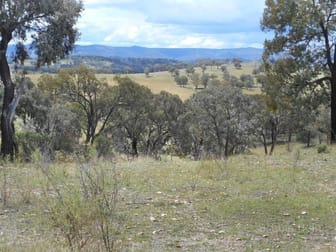 Emmaville NSW 2371 - Image 3