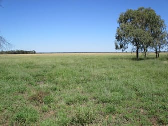 SOLD UNDER THE HAMMER Meandarra QLD 4422 - Image 3