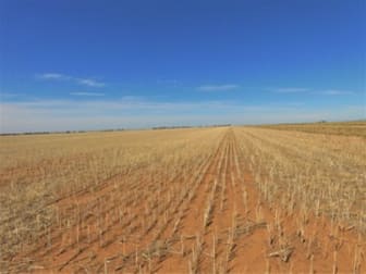 Old Charlton-Boort Road Wychitella North VIC 3525 - Image 2
