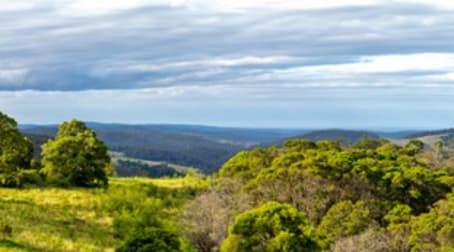 540 Nullica Road, Nethercote Eden NSW 2551 - Image 2