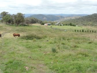 1182 Mares Forest Road Wombeyan Caves NSW 2580 - Image 1