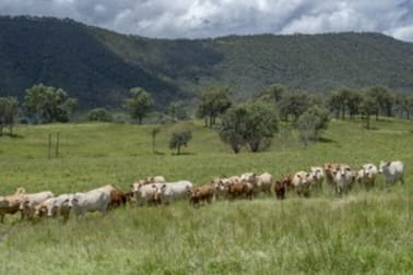 263 Mulgowie Road Townson QLD 4341 - Image 3