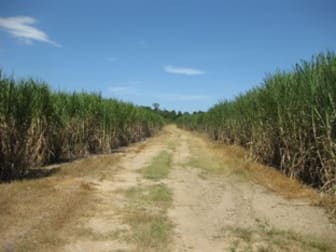 Warrami QLD 4854 - Image 1