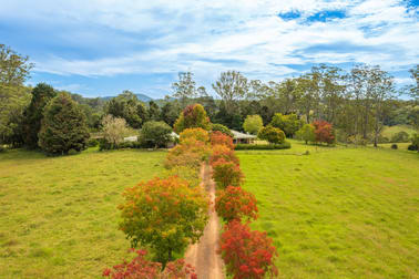 255 Cooks Rd Elands NSW 2429 - Image 2