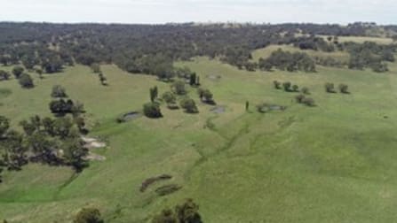 Click to view all images 311 Pitlochry road Matheson NSW 2370 - Image 1