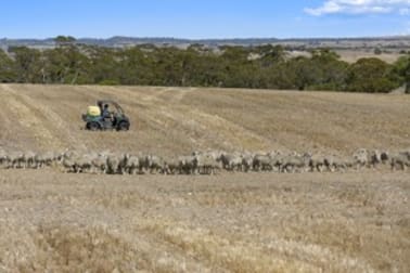 'Greenhills' Gypsum Road Cooke Plains SA 5261 - Image 1